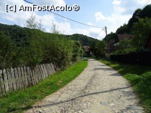[P17] La plimbare prin Cacova (Fântânele).  » foto by tata123 🔱
 - 
<span class="allrVoted glyphicon glyphicon-heart hidden" id="av905053"></span>
<a class="m-l-10 hidden" id="sv905053" onclick="voting_Foto_DelVot(,905053,10358)" role="button">șterge vot <span class="glyphicon glyphicon-remove"></span></a>
<a id="v9905053" class=" c-red"  onclick="voting_Foto_SetVot(905053)" role="button"><span class="glyphicon glyphicon-heart-empty"></span> <b>LIKE</b> = Votează poza</a> <img class="hidden"  id="f905053W9" src="/imagini/loader.gif" border="0" /><span class="AjErrMes hidden" id="e905053ErM"></span>