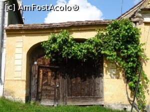 [P05] Vechi porți îmbrăcate în viță de vie - o mulțime în sat.  » foto by tata123 🔱
 - 
<span class="allrVoted glyphicon glyphicon-heart hidden" id="av905041"></span>
<a class="m-l-10 hidden" id="sv905041" onclick="voting_Foto_DelVot(,905041,10358)" role="button">șterge vot <span class="glyphicon glyphicon-remove"></span></a>
<a id="v9905041" class=" c-red"  onclick="voting_Foto_SetVot(905041)" role="button"><span class="glyphicon glyphicon-heart-empty"></span> <b>LIKE</b> = Votează poza</a> <img class="hidden"  id="f905041W9" src="/imagini/loader.gif" border="0" /><span class="AjErrMes hidden" id="e905041ErM"></span>