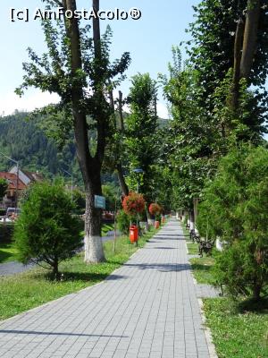 [P04] Alee în Parcul Nicolae Hențiu - Săliște.  » foto by tata123 🔱
 - 
<span class="allrVoted glyphicon glyphicon-heart hidden" id="av906600"></span>
<a class="m-l-10 hidden" id="sv906600" onclick="voting_Foto_DelVot(,906600,10358)" role="button">șterge vot <span class="glyphicon glyphicon-remove"></span></a>
<a id="v9906600" class=" c-red"  onclick="voting_Foto_SetVot(906600)" role="button"><span class="glyphicon glyphicon-heart-empty"></span> <b>LIKE</b> = Votează poza</a> <img class="hidden"  id="f906600W9" src="/imagini/loader.gif" border="0" /><span class="AjErrMes hidden" id="e906600ErM"></span>