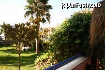 [P14]  -- <small>// FĂRĂ DESCRIERE</small> » foto by liviadavidescu
 - 
<span class="allrVoted glyphicon glyphicon-heart hidden" id="av264091"></span>
<a class="m-l-10 hidden" id="sv264091" onclick="voting_Foto_DelVot(,264091,10372)" role="button">șterge vot <span class="glyphicon glyphicon-remove"></span></a>
<a id="v9264091" class=" c-red"  onclick="voting_Foto_SetVot(264091)" role="button"><span class="glyphicon glyphicon-heart-empty"></span> <b>LIKE</b> = Votează poza</a> <img class="hidden"  id="f264091W9" src="/imagini/loader.gif" border="0" /><span class="AjErrMes hidden" id="e264091ErM"></span>