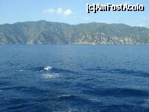 [P29] in apropiere de portofino » foto by a.sr*
 - 
<span class="allrVoted glyphicon glyphicon-heart hidden" id="av264640"></span>
<a class="m-l-10 hidden" id="sv264640" onclick="voting_Foto_DelVot(,264640,10378)" role="button">șterge vot <span class="glyphicon glyphicon-remove"></span></a>
<a id="v9264640" class=" c-red"  onclick="voting_Foto_SetVot(264640)" role="button"><span class="glyphicon glyphicon-heart-empty"></span> <b>LIKE</b> = Votează poza</a> <img class="hidden"  id="f264640W9" src="/imagini/loader.gif" border="0" /><span class="AjErrMes hidden" id="e264640ErM"></span>