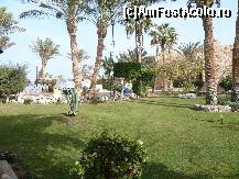 [P17]  -- <small>// FĂRĂ DESCRIERE</small> » foto by Florinwad
 - 
<span class="allrVoted glyphicon glyphicon-heart hidden" id="av399103"></span>
<a class="m-l-10 hidden" id="sv399103" onclick="voting_Foto_DelVot(,399103,10389)" role="button">șterge vot <span class="glyphicon glyphicon-remove"></span></a>
<a id="v9399103" class=" c-red"  onclick="voting_Foto_SetVot(399103)" role="button"><span class="glyphicon glyphicon-heart-empty"></span> <b>LIKE</b> = Votează poza</a> <img class="hidden"  id="f399103W9" src="/imagini/loader.gif" border="0" /><span class="AjErrMes hidden" id="e399103ErM"></span>