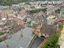 [P17] Micul oras medieval Sighisoara, cu casutele inghesuite, vazute din turnul cu ceas » foto by ileanaxperta*
 - 
<span class="allrVoted glyphicon glyphicon-heart hidden" id="av266242"></span>
<a class="m-l-10 hidden" id="sv266242" onclick="voting_Foto_DelVot(,266242,10403)" role="button">șterge vot <span class="glyphicon glyphicon-remove"></span></a>
<a id="v9266242" class=" c-red"  onclick="voting_Foto_SetVot(266242)" role="button"><span class="glyphicon glyphicon-heart-empty"></span> <b>LIKE</b> = Votează poza</a> <img class="hidden"  id="f266242W9" src="/imagini/loader.gif" border="0" /><span class="AjErrMes hidden" id="e266242ErM"></span>