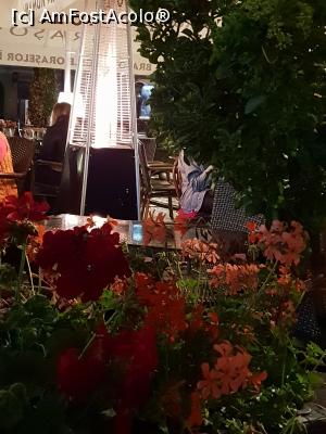 [P20] mușcate care delimitau terasa Go Greek Taverna de celelalte din apropiere » foto by silvia tudoran
 - 
<span class="allrVoted glyphicon glyphicon-heart hidden" id="av1189359"></span>
<a class="m-l-10 hidden" id="sv1189359" onclick="voting_Foto_DelVot(,1189359,10418)" role="button">șterge vot <span class="glyphicon glyphicon-remove"></span></a>
<a id="v91189359" class=" c-red"  onclick="voting_Foto_SetVot(1189359)" role="button"><span class="glyphicon glyphicon-heart-empty"></span> <b>LIKE</b> = Votează poza</a> <img class="hidden"  id="f1189359W9" src="/imagini/loader.gif" border="0" /><span class="AjErrMes hidden" id="e1189359ErM"></span>