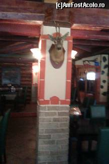 [P06] Detalii decor » foto by lacrimalove
 - 
<span class="allrVoted glyphicon glyphicon-heart hidden" id="av305083"></span>
<a class="m-l-10 hidden" id="sv305083" onclick="voting_Foto_DelVot(,305083,10418)" role="button">șterge vot <span class="glyphicon glyphicon-remove"></span></a>
<a id="v9305083" class=" c-red"  onclick="voting_Foto_SetVot(305083)" role="button"><span class="glyphicon glyphicon-heart-empty"></span> <b>LIKE</b> = Votează poza</a> <img class="hidden"  id="f305083W9" src="/imagini/loader.gif" border="0" /><span class="AjErrMes hidden" id="e305083ErM"></span>