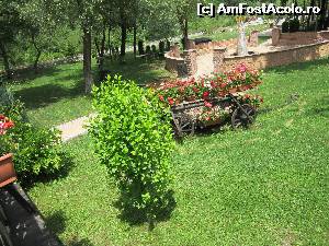 [P17] Splendoare în iarbă » foto by Michi
 - 
<span class="allrVoted glyphicon glyphicon-heart hidden" id="av632453"></span>
<a class="m-l-10 hidden" id="sv632453" onclick="voting_Foto_DelVot(,632453,10418)" role="button">șterge vot <span class="glyphicon glyphicon-remove"></span></a>
<a id="v9632453" class=" c-red"  onclick="voting_Foto_SetVot(632453)" role="button"><span class="glyphicon glyphicon-heart-empty"></span> <b>LIKE</b> = Votează poza</a> <img class="hidden"  id="f632453W9" src="/imagini/loader.gif" border="0" /><span class="AjErrMes hidden" id="e632453ErM"></span>