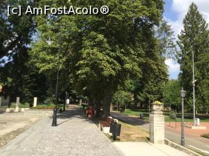 [P13] O placer sa te plimbi prin parc, indiferent de anotimp » foto by mishu
 - 
<span class="allrVoted glyphicon glyphicon-heart hidden" id="av910045"></span>
<a class="m-l-10 hidden" id="sv910045" onclick="voting_Foto_DelVot(,910045,10422)" role="button">șterge vot <span class="glyphicon glyphicon-remove"></span></a>
<a id="v9910045" class=" c-red"  onclick="voting_Foto_SetVot(910045)" role="button"><span class="glyphicon glyphicon-heart-empty"></span> <b>LIKE</b> = Votează poza</a> <img class="hidden"  id="f910045W9" src="/imagini/loader.gif" border="0" /><span class="AjErrMes hidden" id="e910045ErM"></span>