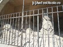 [P10]  -- <small>// FĂRĂ DESCRIERE</small> » foto by cryss27
 - 
<span class="allrVoted glyphicon glyphicon-heart hidden" id="av267544"></span>
<a class="m-l-10 hidden" id="sv267544" onclick="voting_Foto_DelVot(,267544,10426)" role="button">șterge vot <span class="glyphicon glyphicon-remove"></span></a>
<a id="v9267544" class=" c-red"  onclick="voting_Foto_SetVot(267544)" role="button"><span class="glyphicon glyphicon-heart-empty"></span> <b>LIKE</b> = Votează poza</a> <img class="hidden"  id="f267544W9" src="/imagini/loader.gif" border="0" /><span class="AjErrMes hidden" id="e267544ErM"></span>