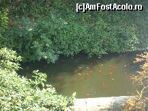 [P26] Raul cu pesti vazut printr-o crapatura din zid » foto by cryss27
 - 
<span class="allrVoted glyphicon glyphicon-heart hidden" id="av267560"></span>
<a class="m-l-10 hidden" id="sv267560" onclick="voting_Foto_DelVot(,267560,10426)" role="button">șterge vot <span class="glyphicon glyphicon-remove"></span></a>
<a id="v9267560" class=" c-red"  onclick="voting_Foto_SetVot(267560)" role="button"><span class="glyphicon glyphicon-heart-empty"></span> <b>LIKE</b> = Votează poza</a> <img class="hidden"  id="f267560W9" src="/imagini/loader.gif" border="0" /><span class="AjErrMes hidden" id="e267560ErM"></span>