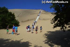 [P01] Dune du Pilat - urcuș » foto by makuy*
 - 
<span class="allrVoted glyphicon glyphicon-heart hidden" id="av577043"></span>
<a class="m-l-10 hidden" id="sv577043" onclick="voting_Foto_DelVot(,577043,10440)" role="button">șterge vot <span class="glyphicon glyphicon-remove"></span></a>
<a id="v9577043" class=" c-red"  onclick="voting_Foto_SetVot(577043)" role="button"><span class="glyphicon glyphicon-heart-empty"></span> <b>LIKE</b> = Votează poza</a> <img class="hidden"  id="f577043W9" src="/imagini/loader.gif" border="0" /><span class="AjErrMes hidden" id="e577043ErM"></span>