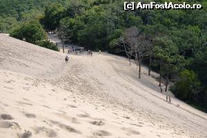 [P13] Dune du Pilat - în pantă » foto by makuy*
 - 
<span class="allrVoted glyphicon glyphicon-heart hidden" id="av577055"></span>
<a class="m-l-10 hidden" id="sv577055" onclick="voting_Foto_DelVot(,577055,10440)" role="button">șterge vot <span class="glyphicon glyphicon-remove"></span></a>
<a id="v9577055" class=" c-red"  onclick="voting_Foto_SetVot(577055)" role="button"><span class="glyphicon glyphicon-heart-empty"></span> <b>LIKE</b> = Votează poza</a> <img class="hidden"  id="f577055W9" src="/imagini/loader.gif" border="0" /><span class="AjErrMes hidden" id="e577055ErM"></span>