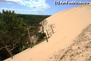 [P17] Dune du Pilat - luptă » foto by makuy*
 - 
<span class="allrVoted glyphicon glyphicon-heart hidden" id="av577059"></span>
<a class="m-l-10 hidden" id="sv577059" onclick="voting_Foto_DelVot(,577059,10440)" role="button">șterge vot <span class="glyphicon glyphicon-remove"></span></a>
<a id="v9577059" class=" c-red"  onclick="voting_Foto_SetVot(577059)" role="button"><span class="glyphicon glyphicon-heart-empty"></span> <b>LIKE</b> = Votează poza</a> <img class="hidden"  id="f577059W9" src="/imagini/loader.gif" border="0" /><span class="AjErrMes hidden" id="e577059ErM"></span>