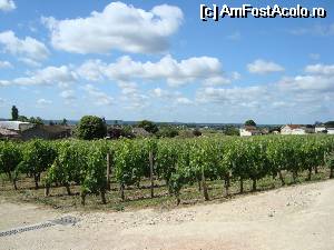 [P01] Saint-Emilion 'vie cat vezi cu ochii' » foto by Alesana29
 - 
<span class="allrVoted glyphicon glyphicon-heart hidden" id="av514806"></span>
<a class="m-l-10 hidden" id="sv514806" onclick="voting_Foto_DelVot(,514806,10440)" role="button">șterge vot <span class="glyphicon glyphicon-remove"></span></a>
<a id="v9514806" class=" c-red"  onclick="voting_Foto_SetVot(514806)" role="button"><span class="glyphicon glyphicon-heart-empty"></span> <b>LIKE</b> = Votează poza</a> <img class="hidden"  id="f514806W9" src="/imagini/loader.gif" border="0" /><span class="AjErrMes hidden" id="e514806ErM"></span>