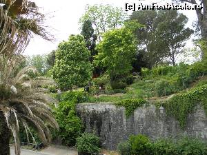 [P12] gradina botanica din Bayonne » foto by Alesana29
 - 
<span class="allrVoted glyphicon glyphicon-heart hidden" id="av518021"></span>
<a class="m-l-10 hidden" id="sv518021" onclick="voting_Foto_DelVot(,518021,10440)" role="button">șterge vot <span class="glyphicon glyphicon-remove"></span></a>
<a id="v9518021" class=" c-red"  onclick="voting_Foto_SetVot(518021)" role="button"><span class="glyphicon glyphicon-heart-empty"></span> <b>LIKE</b> = Votează poza</a> <img class="hidden"  id="f518021W9" src="/imagini/loader.gif" border="0" /><span class="AjErrMes hidden" id="e518021ErM"></span>