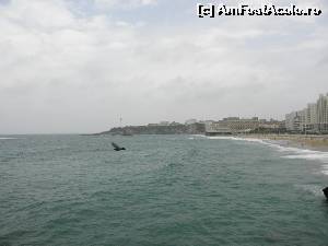 [P22] Biaritz si oceanul Atlantic » foto by Alesana29
 - 
<span class="allrVoted glyphicon glyphicon-heart hidden" id="av518036"></span>
<a class="m-l-10 hidden" id="sv518036" onclick="voting_Foto_DelVot(,518036,10440)" role="button">șterge vot <span class="glyphicon glyphicon-remove"></span></a>
<a id="v9518036" class=" c-red"  onclick="voting_Foto_SetVot(518036)" role="button"><span class="glyphicon glyphicon-heart-empty"></span> <b>LIKE</b> = Votează poza</a> <img class="hidden"  id="f518036W9" src="/imagini/loader.gif" border="0" /><span class="AjErrMes hidden" id="e518036ErM"></span>