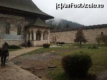[P16]  -- <small>// FĂRĂ DESCRIERE</small> » foto by cristinatotem
 - 
<span class="allrVoted glyphicon glyphicon-heart hidden" id="av269150"></span>
<a class="m-l-10 hidden" id="sv269150" onclick="voting_Foto_DelVot(,269150,10464)" role="button">șterge vot <span class="glyphicon glyphicon-remove"></span></a>
<a id="v9269150" class=" c-red"  onclick="voting_Foto_SetVot(269150)" role="button"><span class="glyphicon glyphicon-heart-empty"></span> <b>LIKE</b> = Votează poza</a> <img class="hidden"  id="f269150W9" src="/imagini/loader.gif" border="0" /><span class="AjErrMes hidden" id="e269150ErM"></span>