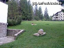 [P13] Paznicul pajiștii! » foto by Floryn81
 - 
<span class="allrVoted glyphicon glyphicon-heart hidden" id="av310388"></span>
<a class="m-l-10 hidden" id="sv310388" onclick="voting_Foto_DelVot(,310388,10492)" role="button">șterge vot <span class="glyphicon glyphicon-remove"></span></a>
<a id="v9310388" class=" c-red"  onclick="voting_Foto_SetVot(310388)" role="button"><span class="glyphicon glyphicon-heart-empty"></span> <b>LIKE</b> = Votează poza</a> <img class="hidden"  id="f310388W9" src="/imagini/loader.gif" border="0" /><span class="AjErrMes hidden" id="e310388ErM"></span>