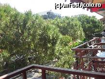 [P10] Balconul era catre strada » foto by georgiana
 - 
<span class="allrVoted glyphicon glyphicon-heart hidden" id="av270715"></span>
<a class="m-l-10 hidden" id="sv270715" onclick="voting_Foto_DelVot(,270715,10498)" role="button">șterge vot <span class="glyphicon glyphicon-remove"></span></a>
<a id="v9270715" class=" c-red"  onclick="voting_Foto_SetVot(270715)" role="button"><span class="glyphicon glyphicon-heart-empty"></span> <b>LIKE</b> = Votează poza</a> <img class="hidden"  id="f270715W9" src="/imagini/loader.gif" border="0" /><span class="AjErrMes hidden" id="e270715ErM"></span>