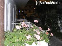[P04] Hotelul se afla intre doua strazi, avand intrari pe ambele, in imagine aleia intre cele doua intrari cat si balcoanele camerelor de la parter. » foto by kelyboy
 - 
<span class="allrVoted glyphicon glyphicon-heart hidden" id="av271619"></span>
<a class="m-l-10 hidden" id="sv271619" onclick="voting_Foto_DelVot(,271619,10519)" role="button">șterge vot <span class="glyphicon glyphicon-remove"></span></a>
<a id="v9271619" class=" c-red"  onclick="voting_Foto_SetVot(271619)" role="button"><span class="glyphicon glyphicon-heart-empty"></span> <b>LIKE</b> = Votează poza</a> <img class="hidden"  id="f271619W9" src="/imagini/loader.gif" border="0" /><span class="AjErrMes hidden" id="e271619ErM"></span>