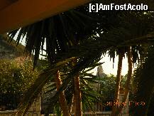 [P22] ce poate fi mai frumos decat sa stai pe balcon cu o bere? » foto by mirmicu
 - 
<span class="allrVoted glyphicon glyphicon-heart hidden" id="av272692"></span>
<a class="m-l-10 hidden" id="sv272692" onclick="voting_Foto_DelVot(,272692,10535)" role="button">șterge vot <span class="glyphicon glyphicon-remove"></span></a>
<a id="v9272692" class=" c-red"  onclick="voting_Foto_SetVot(272692)" role="button"><span class="glyphicon glyphicon-heart-empty"></span> <b>LIKE</b> = Votează poza</a> <img class="hidden"  id="f272692W9" src="/imagini/loader.gif" border="0" /><span class="AjErrMes hidden" id="e272692ErM"></span>