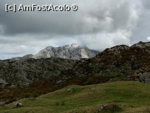 [P17] Picos de Europa » foto by Marius 72
 - 
<span class="allrVoted glyphicon glyphicon-heart hidden" id="av1431443"></span>
<a class="m-l-10 hidden" id="sv1431443" onclick="voting_Foto_DelVot(,1431443,10554)" role="button">șterge vot <span class="glyphicon glyphicon-remove"></span></a>
<a id="v91431443" class=" c-red"  onclick="voting_Foto_SetVot(1431443)" role="button"><span class="glyphicon glyphicon-heart-empty"></span> <b>LIKE</b> = Votează poza</a> <img class="hidden"  id="f1431443W9" src="/imagini/loader.gif" border="0" /><span class="AjErrMes hidden" id="e1431443ErM"></span>
