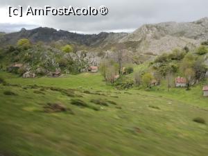 [P20] Cătun asturian » foto by Marius 72
 - 
<span class="allrVoted glyphicon glyphicon-heart hidden" id="av1431446"></span>
<a class="m-l-10 hidden" id="sv1431446" onclick="voting_Foto_DelVot(,1431446,10554)" role="button">șterge vot <span class="glyphicon glyphicon-remove"></span></a>
<a id="v91431446" class=" c-red"  onclick="voting_Foto_SetVot(1431446)" role="button"><span class="glyphicon glyphicon-heart-empty"></span> <b>LIKE</b> = Votează poza</a> <img class="hidden"  id="f1431446W9" src="/imagini/loader.gif" border="0" /><span class="AjErrMes hidden" id="e1431446ErM"></span>