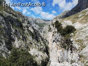 [P05] Ruta del Cares brăzdează muntele » foto by Marius 72
 - 
<span class="allrVoted glyphicon glyphicon-heart hidden" id="av1433301"></span>
<a class="m-l-10 hidden" id="sv1433301" onclick="voting_Foto_DelVot(,1433301,10554)" role="button">șterge vot <span class="glyphicon glyphicon-remove"></span></a>
<a id="v91433301" class=" c-red"  onclick="voting_Foto_SetVot(1433301)" role="button"><span class="glyphicon glyphicon-heart-empty"></span> <b>LIKE</b> = Votează poza</a> <img class="hidden"  id="f1433301W9" src="/imagini/loader.gif" border="0" /><span class="AjErrMes hidden" id="e1433301ErM"></span>