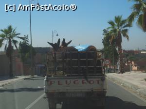 [P27]  -- <small>// FĂRĂ DESCRIERE</small> » foto by icata24
 - 
<span class="allrVoted glyphicon glyphicon-heart hidden" id="av1058875"></span>
<a class="m-l-10 hidden" id="sv1058875" onclick="voting_Foto_DelVot(,1058875,10559)" role="button">șterge vot <span class="glyphicon glyphicon-remove"></span></a>
<a id="v91058875" class=" c-red"  onclick="voting_Foto_SetVot(1058875)" role="button"><span class="glyphicon glyphicon-heart-empty"></span> <b>LIKE</b> = Votează poza</a> <img class="hidden"  id="f1058875W9" src="/imagini/loader.gif" border="0" /><span class="AjErrMes hidden" id="e1058875ErM"></span>