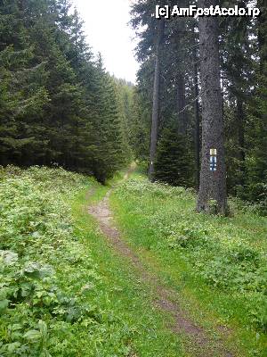 [P17] Ghidaţi de mai multe marcaje, ne îndreptăm către pârtie » foto by Claudiu U.
 - 
<span class="allrVoted glyphicon glyphicon-heart hidden" id="av481358"></span>
<a class="m-l-10 hidden" id="sv481358" onclick="voting_Foto_DelVot(,481358,10560)" role="button">șterge vot <span class="glyphicon glyphicon-remove"></span></a>
<a id="v9481358" class=" c-red"  onclick="voting_Foto_SetVot(481358)" role="button"><span class="glyphicon glyphicon-heart-empty"></span> <b>LIKE</b> = Votează poza</a> <img class="hidden"  id="f481358W9" src="/imagini/loader.gif" border="0" /><span class="AjErrMes hidden" id="e481358ErM"></span>