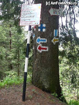 [P22] Am plecat de la cabană şi am ajuns la prima bifurcaţie de trasee » foto by Claudiu U.
 - 
<span class="allrVoted glyphicon glyphicon-heart hidden" id="av481373"></span>
<a class="m-l-10 hidden" id="sv481373" onclick="voting_Foto_DelVot(,481373,10560)" role="button">șterge vot <span class="glyphicon glyphicon-remove"></span></a>
<a id="v9481373" class=" c-red"  onclick="voting_Foto_SetVot(481373)" role="button"><span class="glyphicon glyphicon-heart-empty"></span> <b>LIKE</b> = Votează poza</a> <img class="hidden"  id="f481373W9" src="/imagini/loader.gif" border="0" /><span class="AjErrMes hidden" id="e481373ErM"></span>