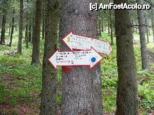 [P07] Săgeţile indicatoare amplasate în Poiana Drester » foto by Claudiu U.
 - 
<span class="allrVoted glyphicon glyphicon-heart hidden" id="av481335"></span>
<a class="m-l-10 hidden" id="sv481335" onclick="voting_Foto_DelVot(,481335,10560)" role="button">șterge vot <span class="glyphicon glyphicon-remove"></span></a>
<a id="v9481335" class=" c-red"  onclick="voting_Foto_SetVot(481335)" role="button"><span class="glyphicon glyphicon-heart-empty"></span> <b>LIKE</b> = Votează poza</a> <img class="hidden"  id="f481335W9" src="/imagini/loader.gif" border="0" /><span class="AjErrMes hidden" id="e481335ErM"></span>