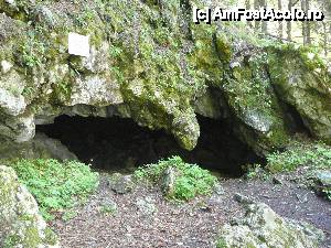 [P09] Intrarea în Peştera de Lapte » foto by Claudiu U.
 - 
<span class="allrVoted glyphicon glyphicon-heart hidden" id="av481340"></span>
<a class="m-l-10 hidden" id="sv481340" onclick="voting_Foto_DelVot(,481340,10560)" role="button">șterge vot <span class="glyphicon glyphicon-remove"></span></a>
<a id="v9481340" class=" c-red"  onclick="voting_Foto_SetVot(481340)" role="button"><span class="glyphicon glyphicon-heart-empty"></span> <b>LIKE</b> = Votează poza</a> <img class="hidden"  id="f481340W9" src="/imagini/loader.gif" border="0" /><span class="AjErrMes hidden" id="e481340ErM"></span>