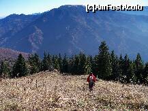 [P10] Dupa o coborare abrupta de 20 minute am iesit in Poiana Postavarului  -in fata Piatra Mare » foto by Lumis66
 - 
<span class="allrVoted glyphicon glyphicon-heart hidden" id="av273524"></span>
<a class="m-l-10 hidden" id="sv273524" onclick="voting_Foto_DelVot(,273524,10560)" role="button">șterge vot <span class="glyphicon glyphicon-remove"></span></a>
<a id="v9273524" class=" c-red"  onclick="voting_Foto_SetVot(273524)" role="button"><span class="glyphicon glyphicon-heart-empty"></span> <b>LIKE</b> = Votează poza</a> <img class="hidden"  id="f273524W9" src="/imagini/loader.gif" border="0" /><span class="AjErrMes hidden" id="e273524ErM"></span>