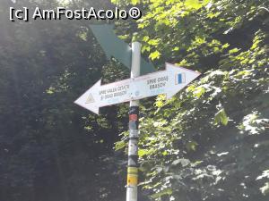 [P13] Intersecție de drumuri » foto by Mika
 - 
<span class="allrVoted glyphicon glyphicon-heart hidden" id="av1179727"></span>
<a class="m-l-10 hidden" id="sv1179727" onclick="voting_Foto_DelVot(,1179727,10560)" role="button">șterge vot <span class="glyphicon glyphicon-remove"></span></a>
<a id="v91179727" class=" c-red"  onclick="voting_Foto_SetVot(1179727)" role="button"><span class="glyphicon glyphicon-heart-empty"></span> <b>LIKE</b> = Votează poza</a> <img class="hidden"  id="f1179727W9" src="/imagini/loader.gif" border="0" /><span class="AjErrMes hidden" id="e1179727ErM"></span>