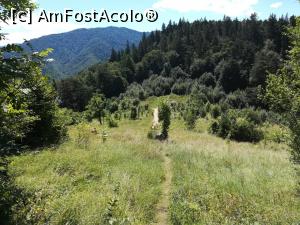 [P16] Sus, in Șaua Tâmpa » foto by Mika
 - 
<span class="allrVoted glyphicon glyphicon-heart hidden" id="av1179730"></span>
<a class="m-l-10 hidden" id="sv1179730" onclick="voting_Foto_DelVot(,1179730,10560)" role="button">șterge vot <span class="glyphicon glyphicon-remove"></span></a>
<a id="v91179730" class=" c-red"  onclick="voting_Foto_SetVot(1179730)" role="button"><span class="glyphicon glyphicon-heart-empty"></span> <b>LIKE</b> = Votează poza</a> <img class="hidden"  id="f1179730W9" src="/imagini/loader.gif" border="0" /><span class="AjErrMes hidden" id="e1179730ErM"></span>