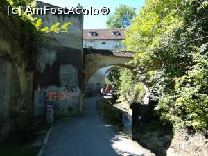 [P03] Bastionul Graft, parte din vechea cetate » foto by Mika
 - 
<span class="allrVoted glyphicon glyphicon-heart hidden" id="av1179717"></span>
<a class="m-l-10 hidden" id="sv1179717" onclick="voting_Foto_DelVot(,1179717,10560)" role="button">șterge vot <span class="glyphicon glyphicon-remove"></span></a>
<a id="v91179717" class=" c-red"  onclick="voting_Foto_SetVot(1179717)" role="button"><span class="glyphicon glyphicon-heart-empty"></span> <b>LIKE</b> = Votează poza</a> <img class="hidden"  id="f1179717W9" src="/imagini/loader.gif" border="0" /><span class="AjErrMes hidden" id="e1179717ErM"></span>