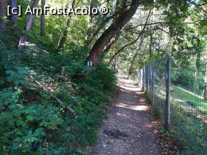 [P08] Drumul Cavalerilor, cărara urcă ușor prin spatele caselor aflate pe locul  unde in secolul al XV-lea era Turnul Cuțitarilor » foto by Mika
 - 
<span class="allrVoted glyphicon glyphicon-heart hidden" id="av1179722"></span>
<a class="m-l-10 hidden" id="sv1179722" onclick="voting_Foto_DelVot(,1179722,10560)" role="button">șterge vot <span class="glyphicon glyphicon-remove"></span></a>
<a id="v91179722" class=" c-red"  onclick="voting_Foto_SetVot(1179722)" role="button"><span class="glyphicon glyphicon-heart-empty"></span> <b>LIKE</b> = Votează poza</a> <img class="hidden"  id="f1179722W9" src="/imagini/loader.gif" border="0" /><span class="AjErrMes hidden" id="e1179722ErM"></span>