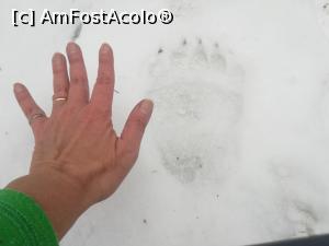 [P11] Pe aici am fost eu și Moș Martin » foto by Mika
 - 
<span class="allrVoted glyphicon glyphicon-heart hidden" id="av1209045"></span>
<a class="m-l-10 hidden" id="sv1209045" onclick="voting_Foto_DelVot(,1209045,10560)" role="button">șterge vot <span class="glyphicon glyphicon-remove"></span></a>
<a id="v91209045" class=" c-red"  onclick="voting_Foto_SetVot(1209045)" role="button"><span class="glyphicon glyphicon-heart-empty"></span> <b>LIKE</b> = Votează poza</a> <img class="hidden"  id="f1209045W9" src="/imagini/loader.gif" border="0" /><span class="AjErrMes hidden" id="e1209045ErM"></span>