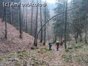 [P02] Incepem urcușul prin pădure » foto by Mika
 - 
<span class="allrVoted glyphicon glyphicon-heart hidden" id="av1209036"></span>
<a class="m-l-10 hidden" id="sv1209036" onclick="voting_Foto_DelVot(,1209036,10560)" role="button">șterge vot <span class="glyphicon glyphicon-remove"></span></a>
<a id="v91209036" class=" c-red"  onclick="voting_Foto_SetVot(1209036)" role="button"><span class="glyphicon glyphicon-heart-empty"></span> <b>LIKE</b> = Votează poza</a> <img class="hidden"  id="f1209036W9" src="/imagini/loader.gif" border="0" /><span class="AjErrMes hidden" id="e1209036ErM"></span>