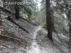 [P23] Poteca intră in pădure » foto by Mika
 - 
<span class="allrVoted glyphicon glyphicon-heart hidden" id="av1209057"></span>
<a class="m-l-10 hidden" id="sv1209057" onclick="voting_Foto_DelVot(,1209057,10560)" role="button">șterge vot <span class="glyphicon glyphicon-remove"></span></a>
<a id="v91209057" class=" c-red"  onclick="voting_Foto_SetVot(1209057)" role="button"><span class="glyphicon glyphicon-heart-empty"></span> <b>LIKE</b> = Votează poza</a> <img class="hidden"  id="f1209057W9" src="/imagini/loader.gif" border="0" /><span class="AjErrMes hidden" id="e1209057ErM"></span>
