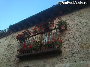 [P39] Majoritatea balcoanelor erau pline de flori...  » foto by alinaro
 - 
<span class="allrVoted glyphicon glyphicon-heart hidden" id="av339912"></span>
<a class="m-l-10 hidden" id="sv339912" onclick="voting_Foto_DelVot(,339912,10572)" role="button">șterge vot <span class="glyphicon glyphicon-remove"></span></a>
<a id="v9339912" class=" c-red"  onclick="voting_Foto_SetVot(339912)" role="button"><span class="glyphicon glyphicon-heart-empty"></span> <b>LIKE</b> = Votează poza</a> <img class="hidden"  id="f339912W9" src="/imagini/loader.gif" border="0" /><span class="AjErrMes hidden" id="e339912ErM"></span>