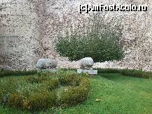 [P26] Statuile vaccee de langa Poarta Satului, cea de-a treia aflandu-se in castel.  » foto by alinaro
 - 
<span class="allrVoted glyphicon glyphicon-heart hidden" id="av386731"></span>
<a class="m-l-10 hidden" id="sv386731" onclick="voting_Foto_DelVot(,386731,10572)" role="button">șterge vot <span class="glyphicon glyphicon-remove"></span></a>
<a id="v9386731" class=" c-red"  onclick="voting_Foto_SetVot(386731)" role="button"><span class="glyphicon glyphicon-heart-empty"></span> <b>LIKE</b> = Votează poza</a> <img class="hidden"  id="f386731W9" src="/imagini/loader.gif" border="0" /><span class="AjErrMes hidden" id="e386731ErM"></span>