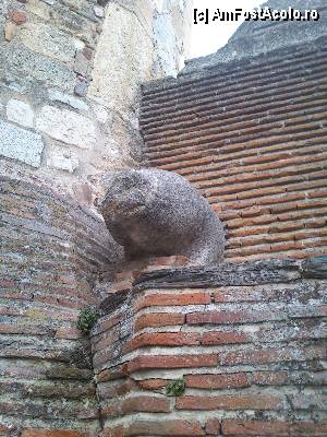 [P42] Castelul din Coca / Figura zoomorfa, vaccee, din incinta Castelului.  » foto by alinaro
 - 
<span class="allrVoted glyphicon glyphicon-heart hidden" id="av387111"></span>
<a class="m-l-10 hidden" id="sv387111" onclick="voting_Foto_DelVot(,387111,10572)" role="button">șterge vot <span class="glyphicon glyphicon-remove"></span></a>
<a id="v9387111" class=" c-red"  onclick="voting_Foto_SetVot(387111)" role="button"><span class="glyphicon glyphicon-heart-empty"></span> <b>LIKE</b> = Votează poza</a> <img class="hidden"  id="f387111W9" src="/imagini/loader.gif" border="0" /><span class="AjErrMes hidden" id="e387111ErM"></span>