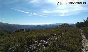 [P14]  -- <small>// FĂRĂ DESCRIERE</small> » foto by alinaro
 - 
<span class="allrVoted glyphicon glyphicon-heart hidden" id="av690504"></span>
<a class="m-l-10 hidden" id="sv690504" onclick="voting_Foto_DelVot(,690504,10572)" role="button">șterge vot <span class="glyphicon glyphicon-remove"></span></a>
<a id="v9690504" class=" c-red"  onclick="voting_Foto_SetVot(690504)" role="button"><span class="glyphicon glyphicon-heart-empty"></span> <b>LIKE</b> = Votează poza</a> <img class="hidden"  id="f690504W9" src="/imagini/loader.gif" border="0" /><span class="AjErrMes hidden" id="e690504ErM"></span>