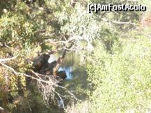 [P18] am ajuns la ochiul de apa de unde ne-am reantors spre iesirea din canyon » foto by grecudoina
 - 
<span class="allrVoted glyphicon glyphicon-heart hidden" id="av274936"></span>
<a class="m-l-10 hidden" id="sv274936" onclick="voting_Foto_DelVot(,274936,10577)" role="button">șterge vot <span class="glyphicon glyphicon-remove"></span></a>
<a id="v9274936" class=" c-red"  onclick="voting_Foto_SetVot(274936)" role="button"><span class="glyphicon glyphicon-heart-empty"></span> <b>LIKE</b> = Votează poza</a> <img class="hidden"  id="f274936W9" src="/imagini/loader.gif" border="0" /><span class="AjErrMes hidden" id="e274936ErM"></span>