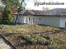[P01]  -- <small>// FĂRĂ DESCRIERE</small> » foto by gino.cristian
 - 
<span class="allrVoted glyphicon glyphicon-heart hidden" id="av278058"></span>
<a class="m-l-10 hidden" id="sv278058" onclick="voting_Foto_DelVot(,278058,10588)" role="button">șterge vot <span class="glyphicon glyphicon-remove"></span></a>
<a id="v9278058" class=" c-red"  onclick="voting_Foto_SetVot(278058)" role="button"><span class="glyphicon glyphicon-heart-empty"></span> <b>LIKE</b> = Votează poza</a> <img class="hidden"  id="f278058W9" src="/imagini/loader.gif" border="0" /><span class="AjErrMes hidden" id="e278058ErM"></span>