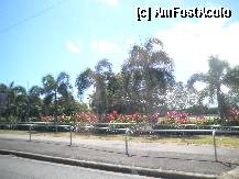 [P22] in drum spre Airlie-Beach » foto by grecudoina
 - 
<span class="allrVoted glyphicon glyphicon-heart hidden" id="av275169"></span>
<a class="m-l-10 hidden" id="sv275169" onclick="voting_Foto_DelVot(,275169,10590)" role="button">șterge vot <span class="glyphicon glyphicon-remove"></span></a>
<a id="v9275169" class=" c-red"  onclick="voting_Foto_SetVot(275169)" role="button"><span class="glyphicon glyphicon-heart-empty"></span> <b>LIKE</b> = Votează poza</a> <img class="hidden"  id="f275169W9" src="/imagini/loader.gif" border="0" /><span class="AjErrMes hidden" id="e275169ErM"></span>