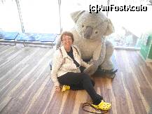 [P19] in parcul national de protectie a ursuletilor koala » foto by grecudoina
 - 
<span class="allrVoted glyphicon glyphicon-heart hidden" id="av278644"></span>
<a class="m-l-10 hidden" id="sv278644" onclick="voting_Foto_DelVot(,278644,10590)" role="button">șterge vot <span class="glyphicon glyphicon-remove"></span></a>
<a id="v9278644" class=" c-red"  onclick="voting_Foto_SetVot(278644)" role="button"><span class="glyphicon glyphicon-heart-empty"></span> <b>LIKE</b> = Votează poza</a> <img class="hidden"  id="f278644W9" src="/imagini/loader.gif" border="0" /><span class="AjErrMes hidden" id="e278644ErM"></span>