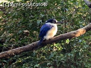 [P20] Featherdale Wildlife Park » foto by AZE
 - 
<span class="allrVoted glyphicon glyphicon-heart hidden" id="av1386526"></span>
<a class="m-l-10 hidden" id="sv1386526" onclick="voting_Foto_DelVot(,1386526,10590)" role="button">șterge vot <span class="glyphicon glyphicon-remove"></span></a>
<a id="v91386526" class=" c-red"  onclick="voting_Foto_SetVot(1386526)" role="button"><span class="glyphicon glyphicon-heart-empty"></span> <b>LIKE</b> = Votează poza</a> <img class="hidden"  id="f1386526W9" src="/imagini/loader.gif" border="0" /><span class="AjErrMes hidden" id="e1386526ErM"></span>