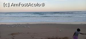 [P10] În așteptarea pinguinilor » foto by mariana07
 - 
<span class="allrVoted glyphicon glyphicon-heart hidden" id="av1481533"></span>
<a class="m-l-10 hidden" id="sv1481533" onclick="voting_Foto_DelVot(,1481533,10590)" role="button">șterge vot <span class="glyphicon glyphicon-remove"></span></a>
<a id="v91481533" class=" c-red"  onclick="voting_Foto_SetVot(1481533)" role="button"><span class="glyphicon glyphicon-heart-empty"></span> <b>LIKE</b> = Votează poza</a> <img class="hidden"  id="f1481533W9" src="/imagini/loader.gif" border="0" /><span class="AjErrMes hidden" id="e1481533ErM"></span>